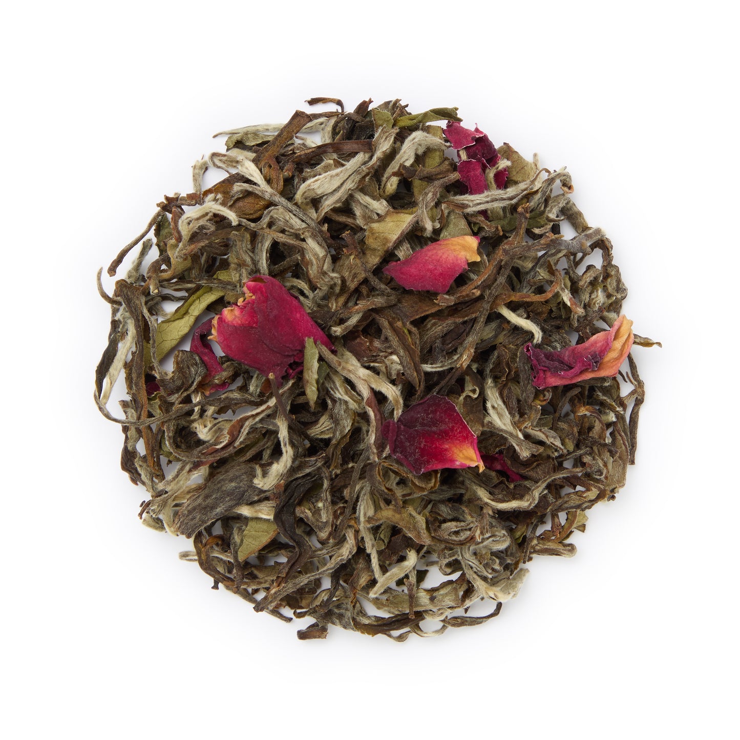Midnight Rose By Matthew Williamson - 50g